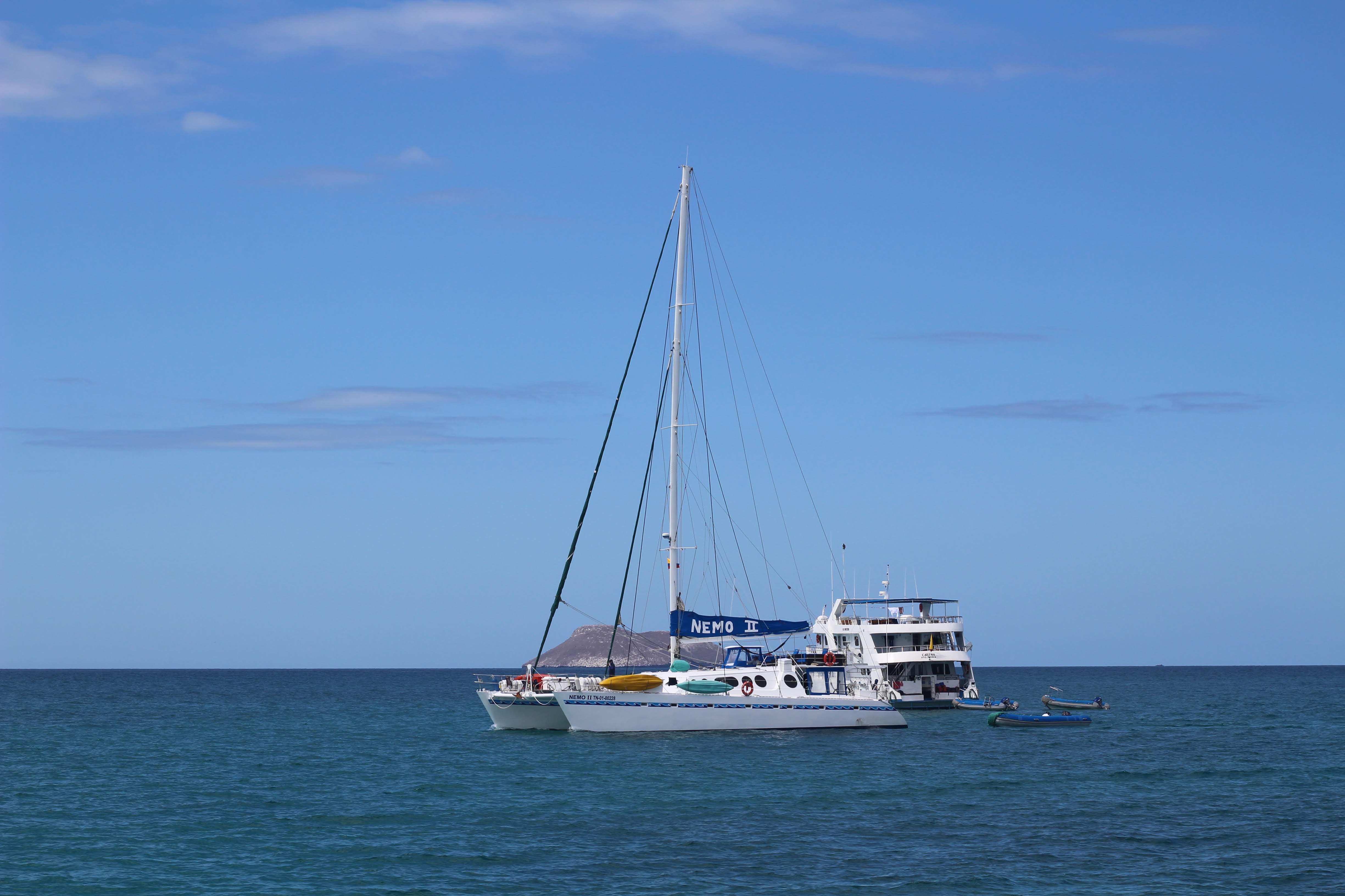 IMG_5490.JPG